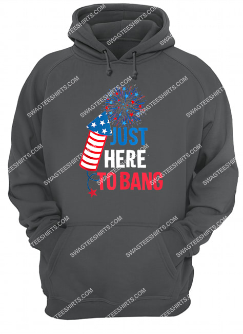 4th of july firecracker and fireworks just here to bang hoodie 1