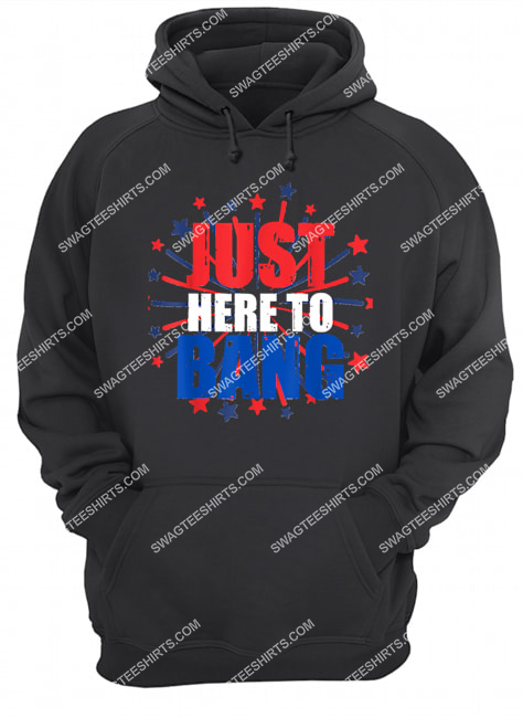 4th of july just here to bang novelty hoodie 1