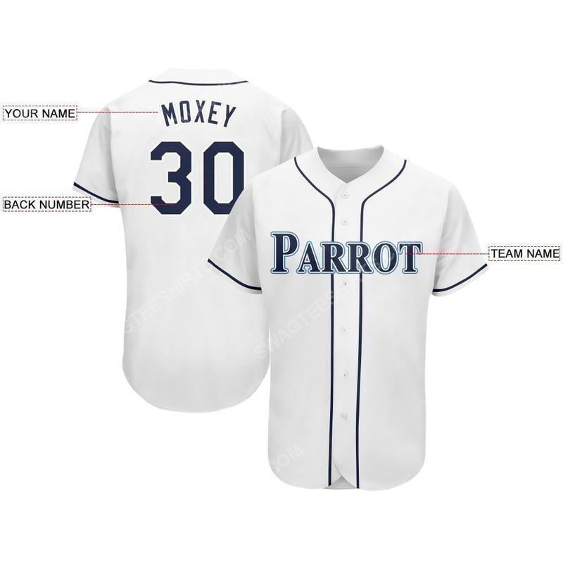 Custom name the tampa bay rays team full printed baseball jersey 2(1) - Copy