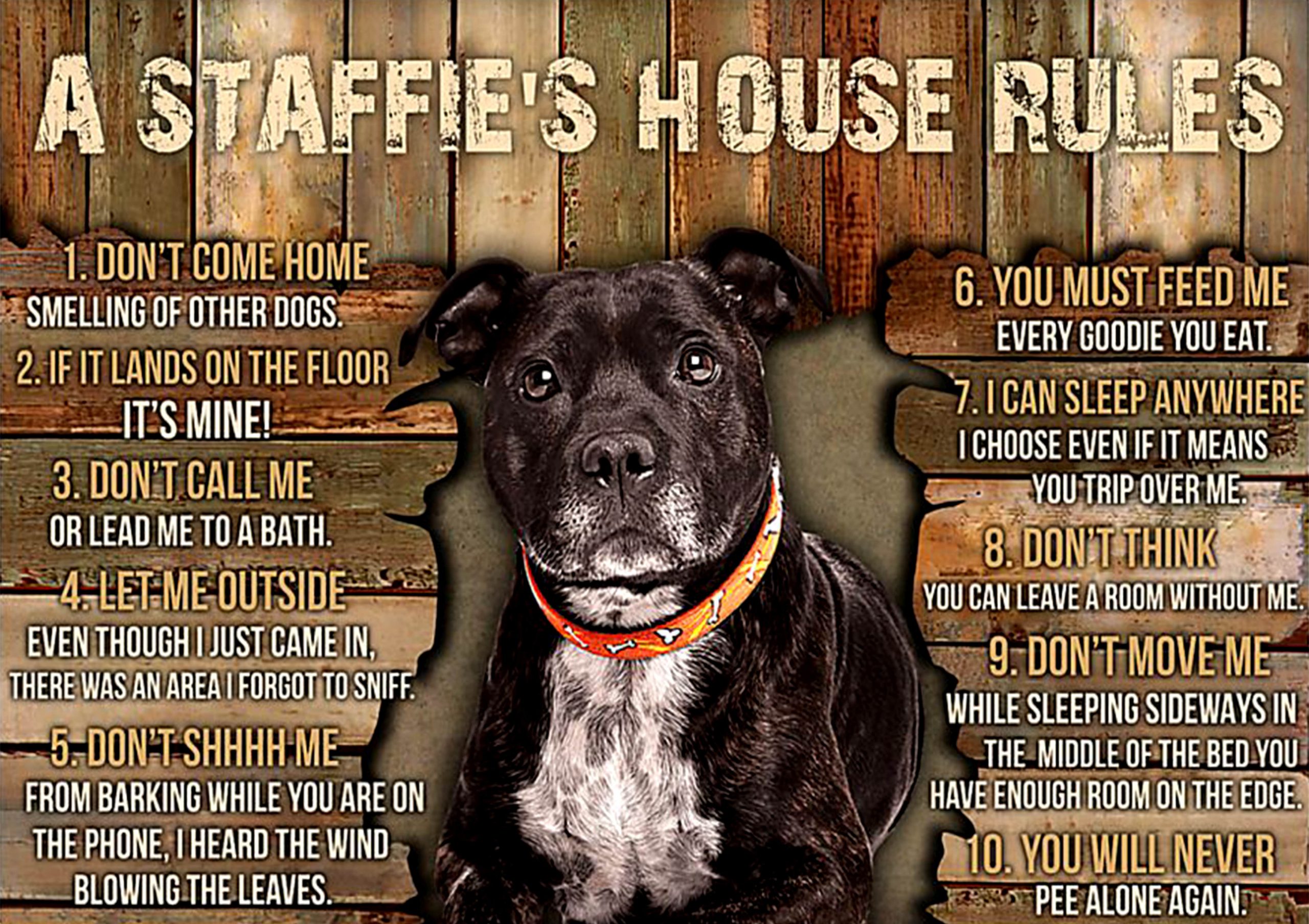 dog lover a staffies house rules poster 1