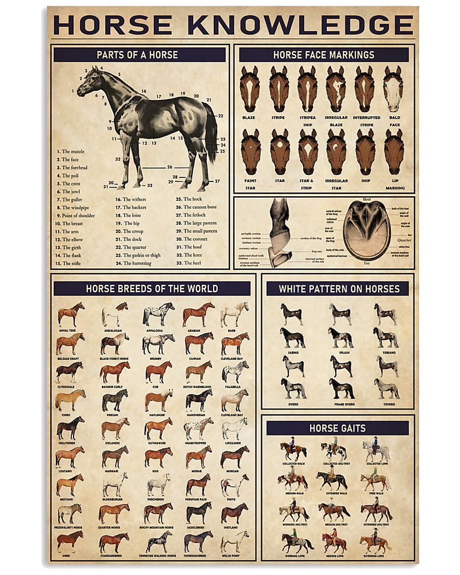 horse knowledge vintage poster 1