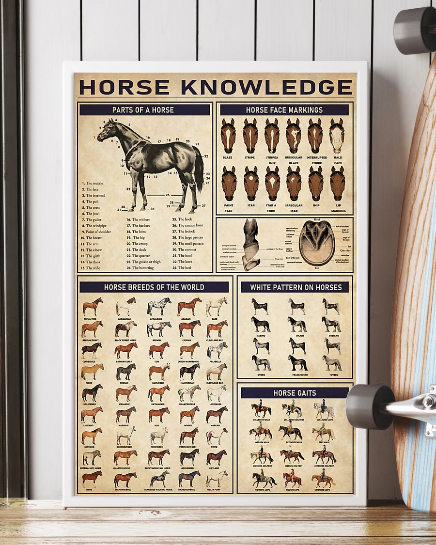horse knowledge vintage poster 2