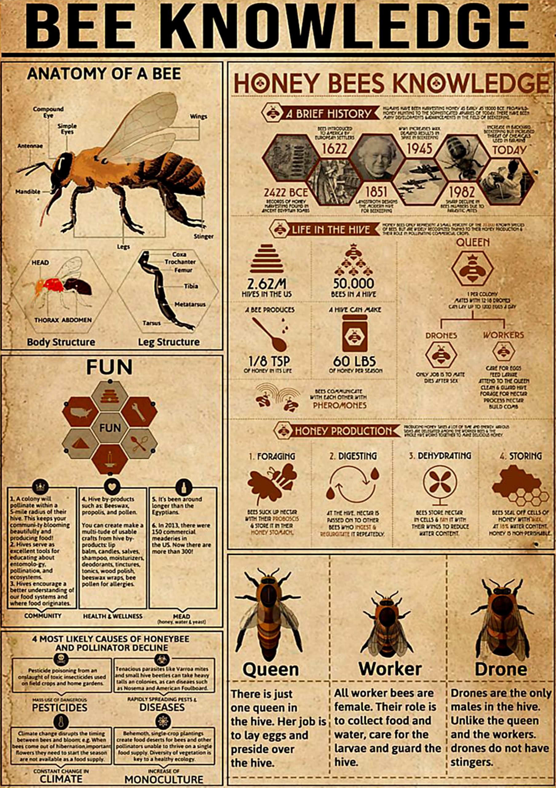 vintage bee knowledge poster 1 - Copy