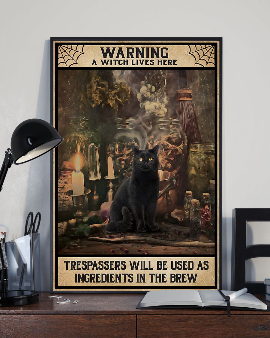 vintage black cat warning a witch lives here all trespassers will be used as ingredients poster 3