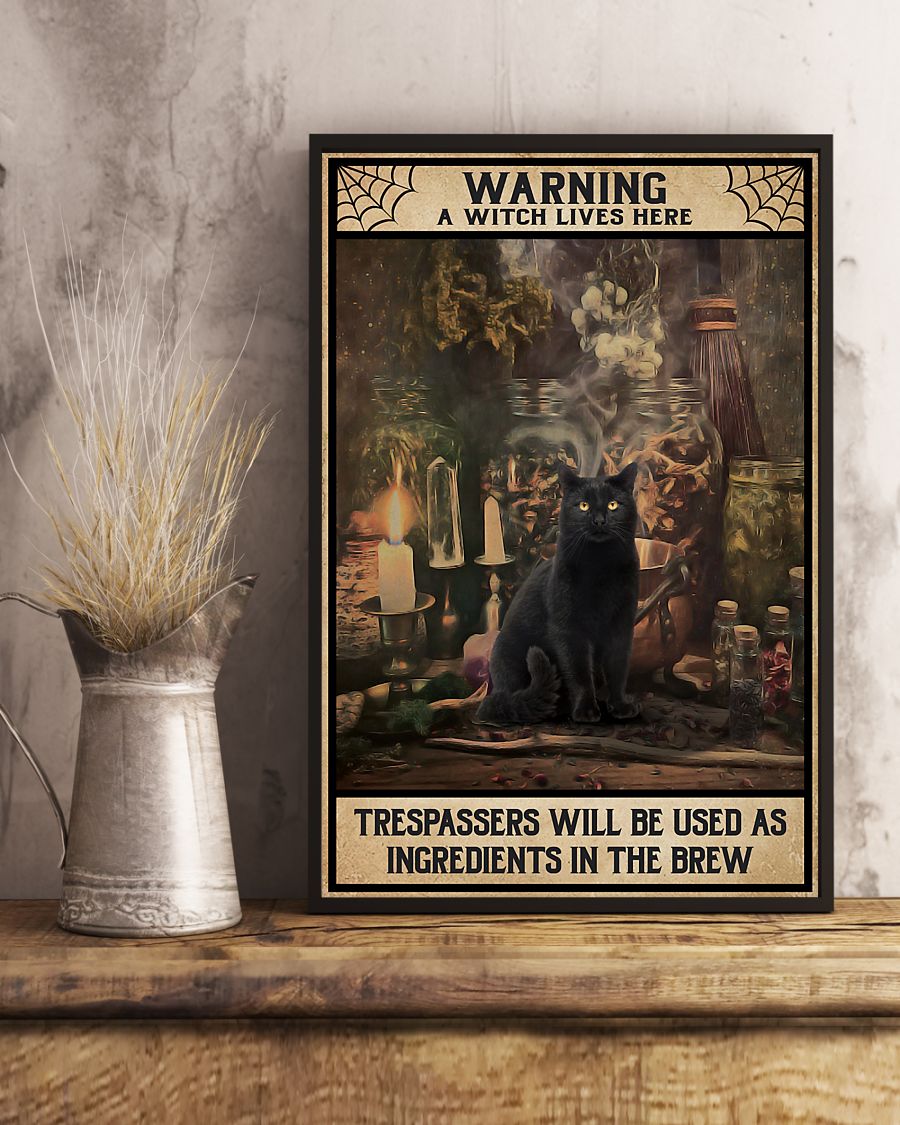 vintage black cat warning a witch lives here all trespassers will be used as ingredients poster 4