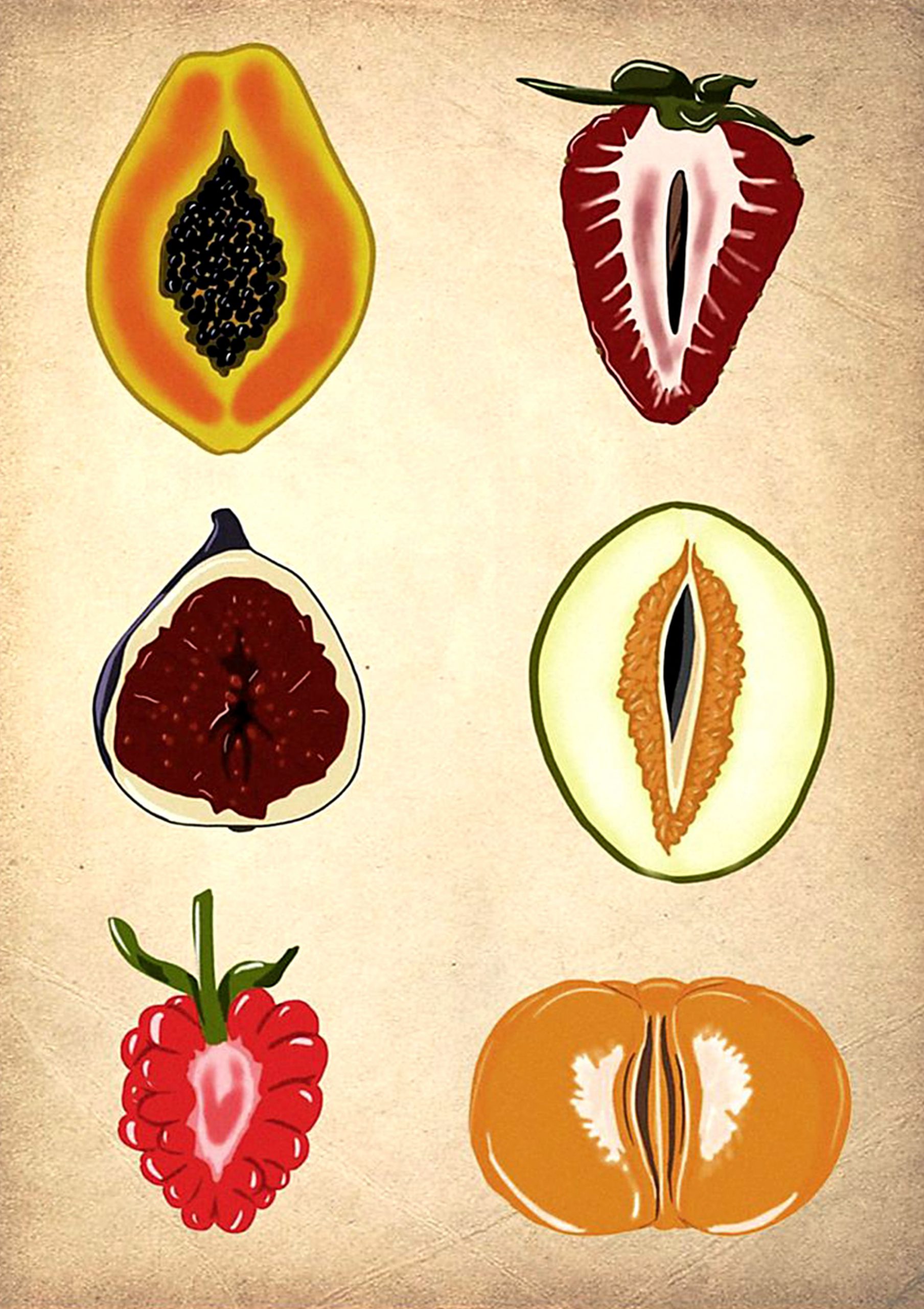 vintage half of fruits poster 1 - Copy (3)