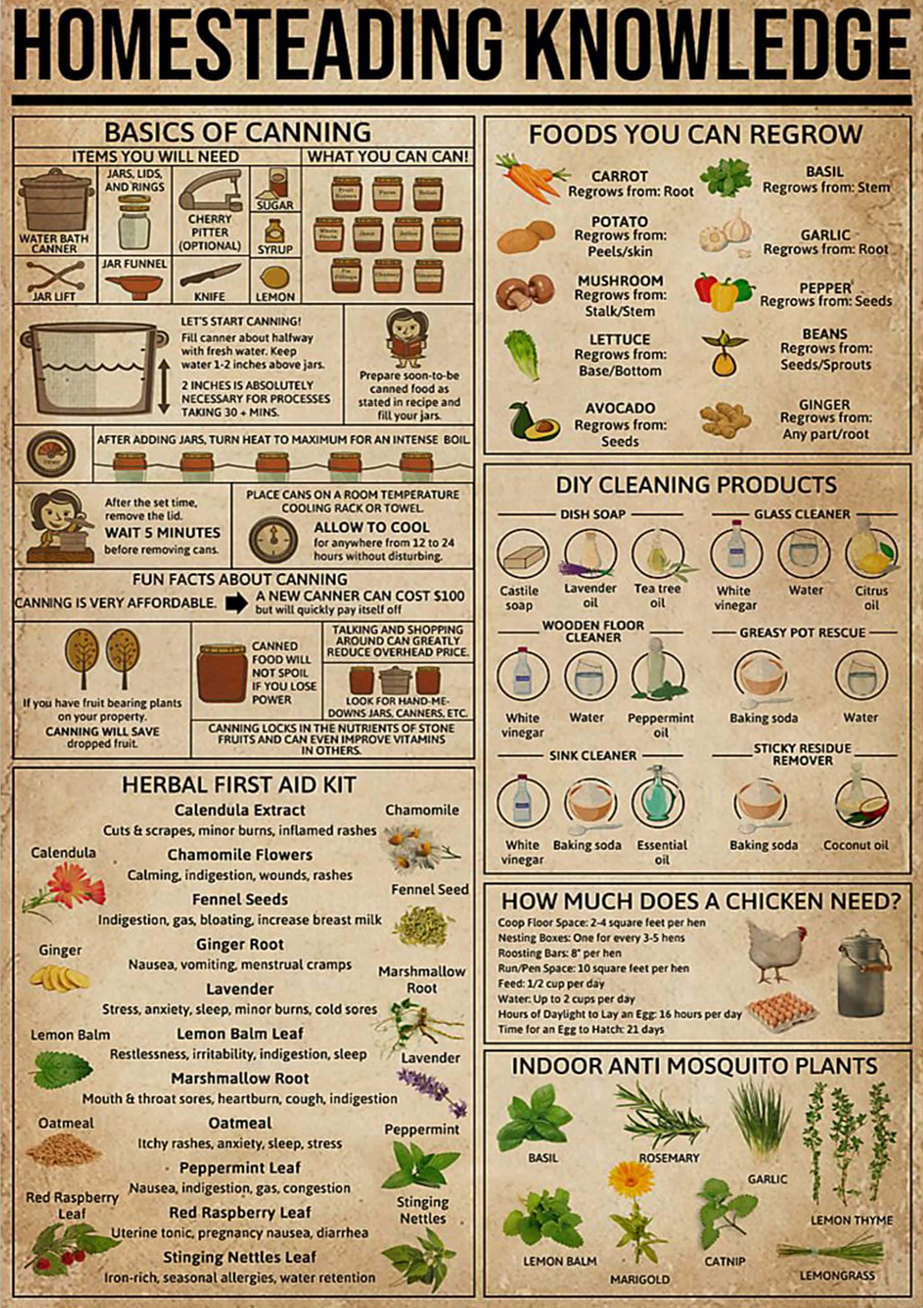 vintage homesteading knowledge poster 1 - Copy (2)