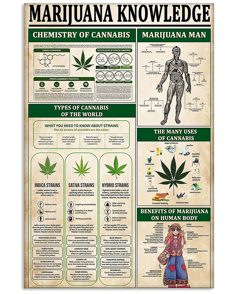 vintage marijuana knowledge poster 1