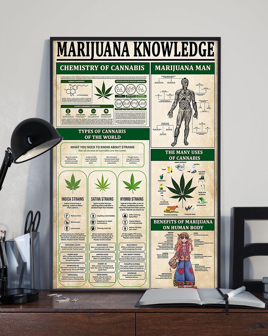 vintage marijuana knowledge poster 2