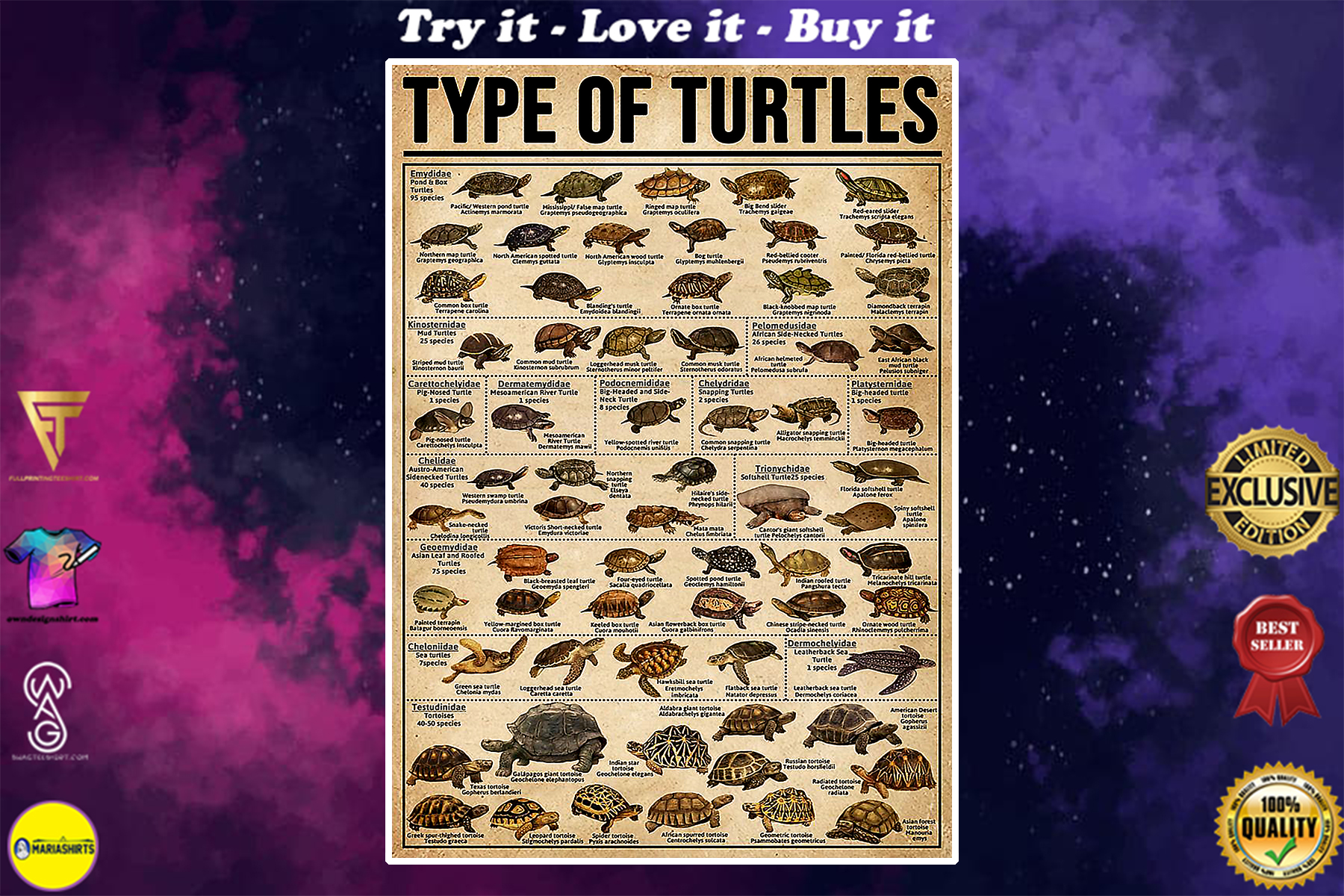 vintage type of turtles poster