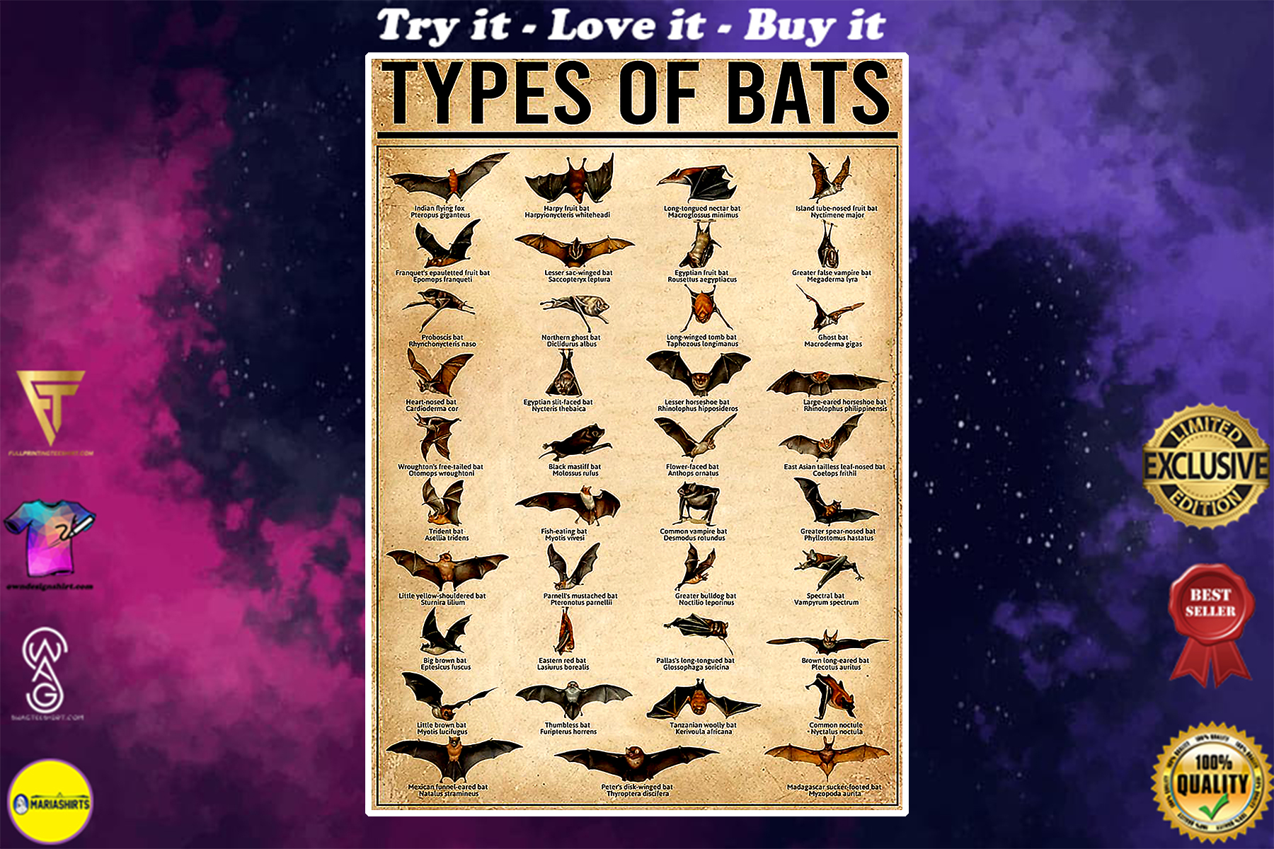 vintage types of bats poster