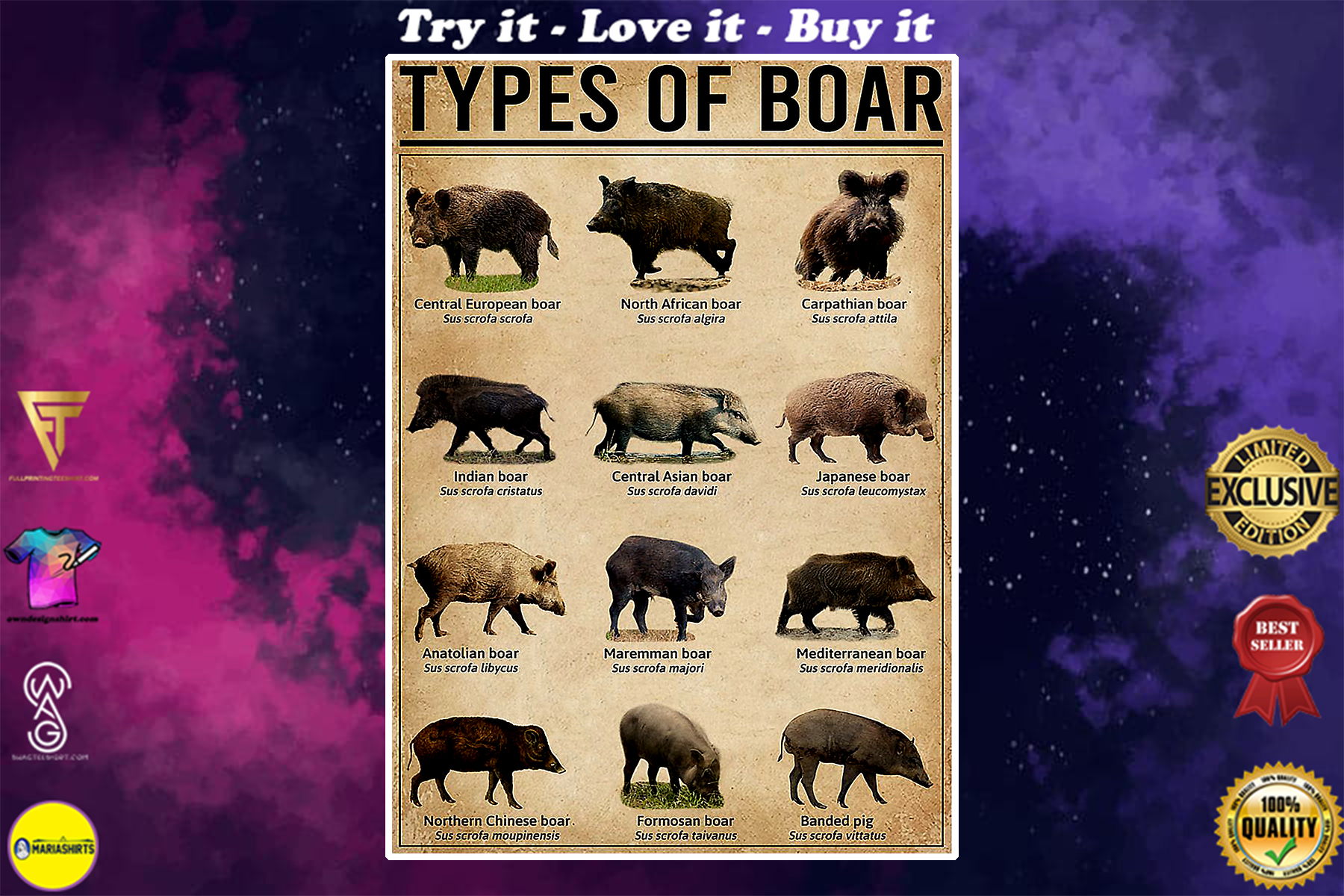vintage types of boar poster
