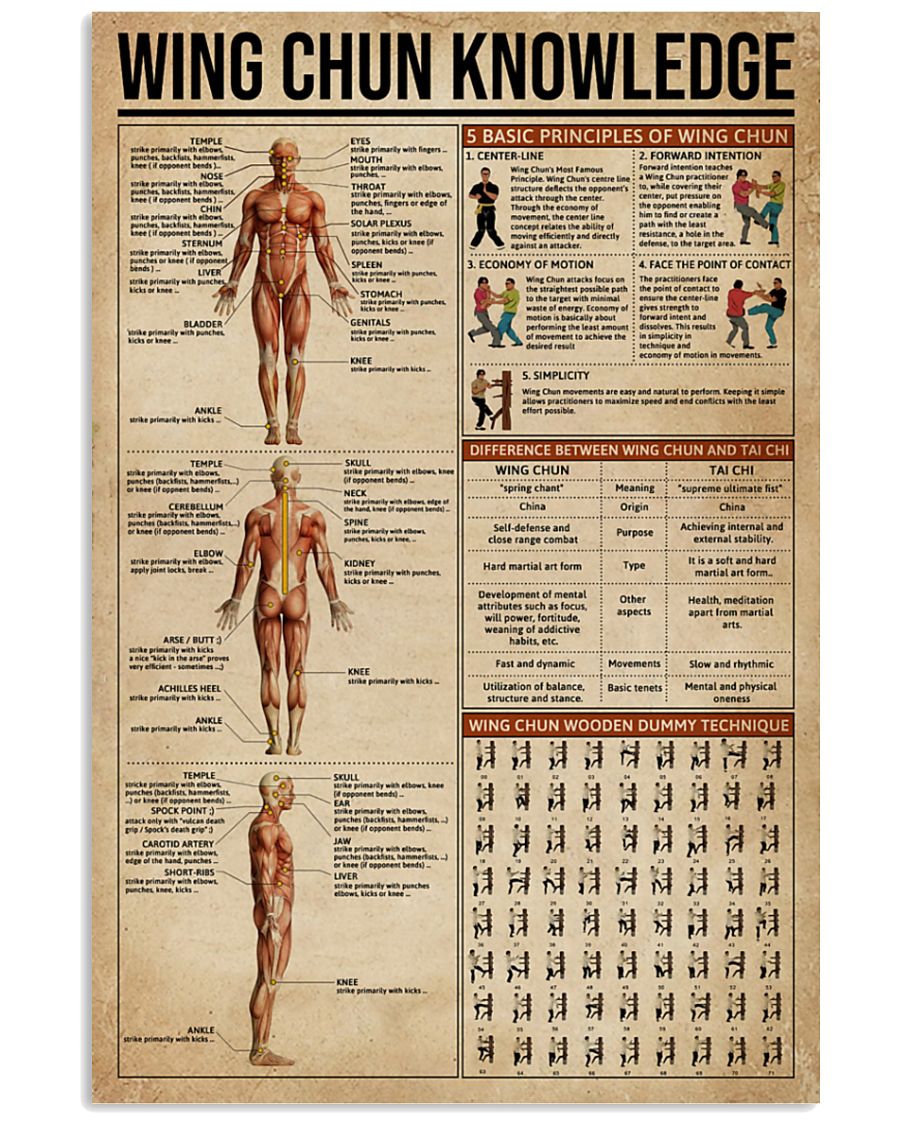 vintage wing chun knowledge poster 2