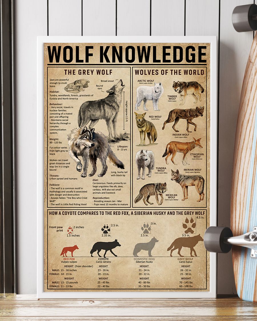 vintage wolf knowledge the grey wolf poster 5