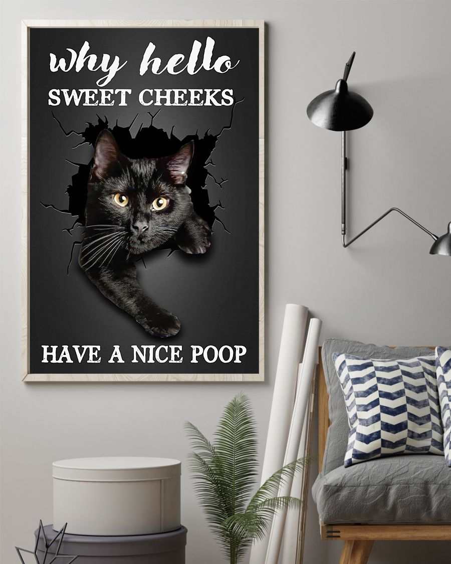 why hello sweet cheeks have a nice poop black cat poster 1