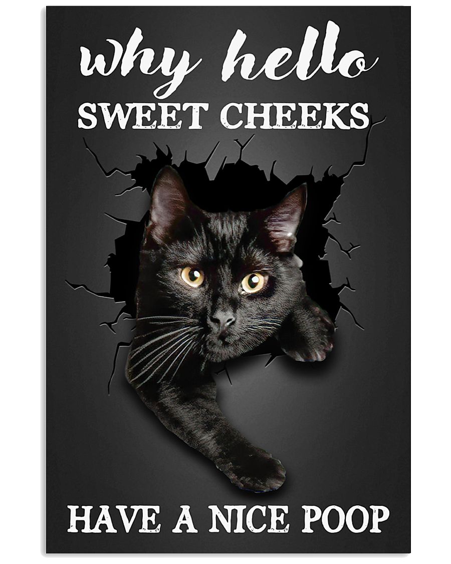 why hello sweet cheeks have a nice poop black cat poster 2