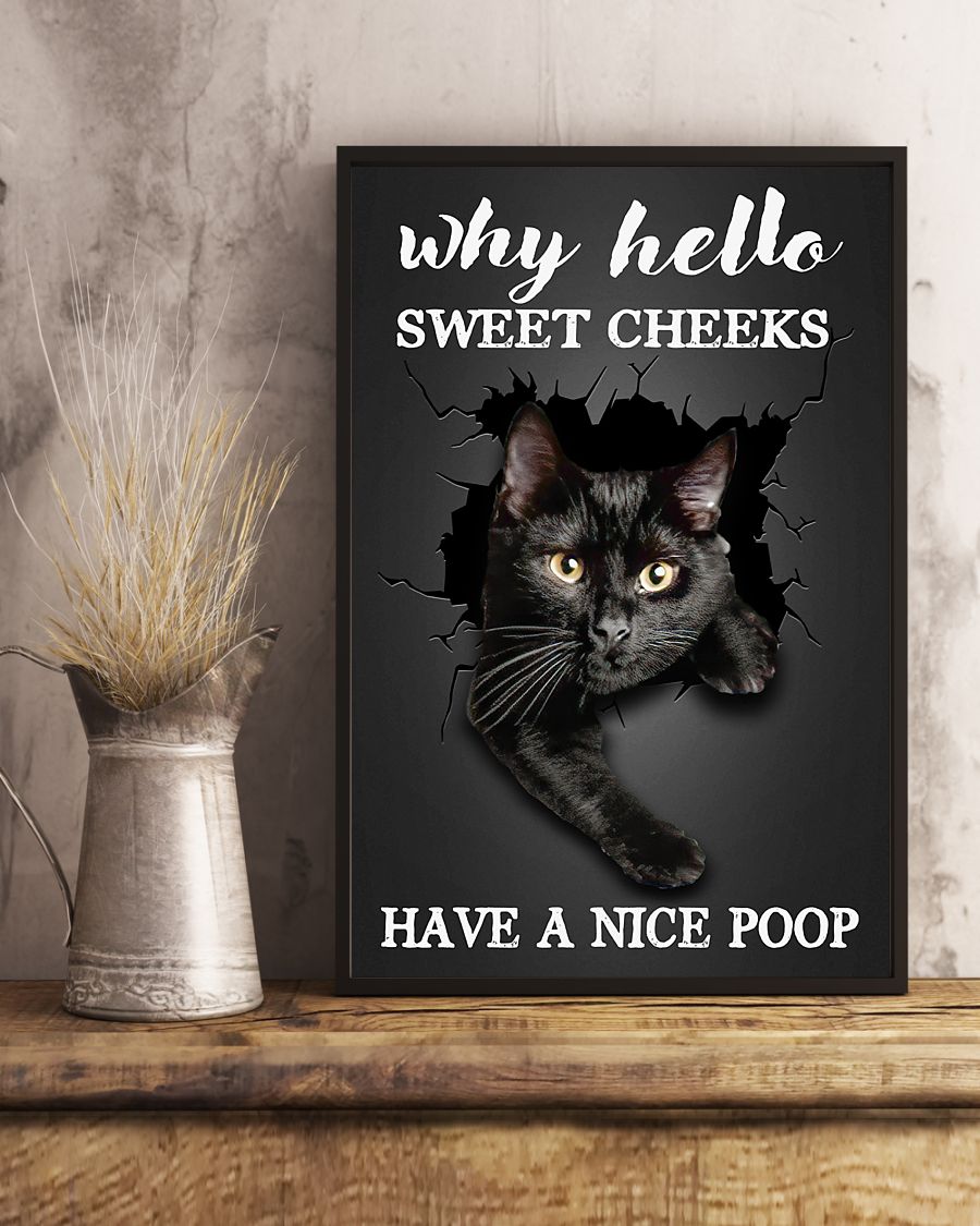 why hello sweet cheeks have a nice poop black cat poster 4